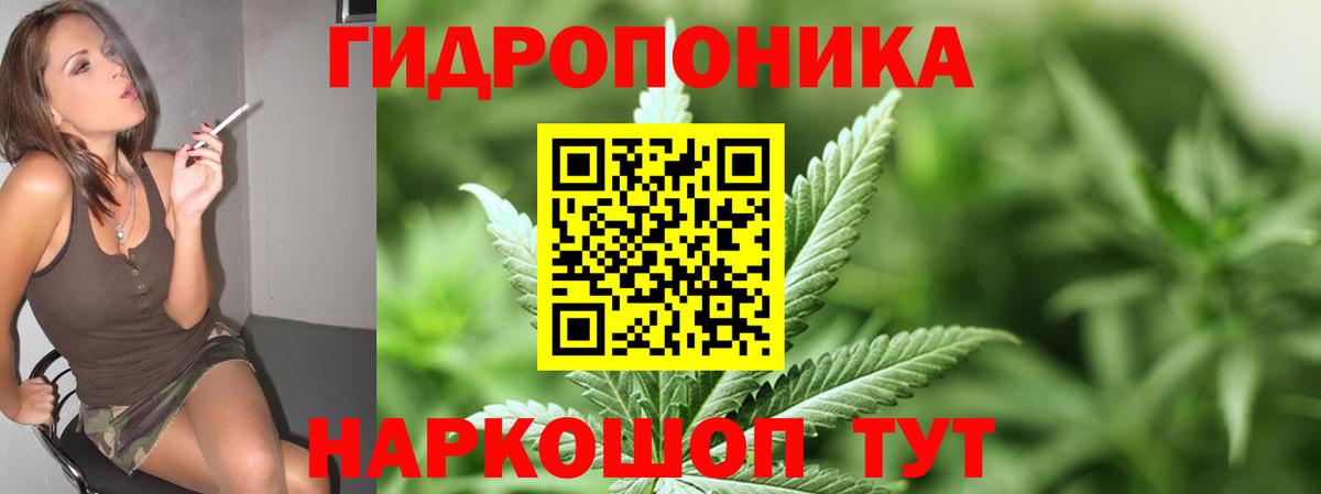 Великие Луки  Канабис конопля  Бошки марихуана семена  Марихуана White Widow  МАРИХУАНА ГИДРОПОН  Вход с VPN 